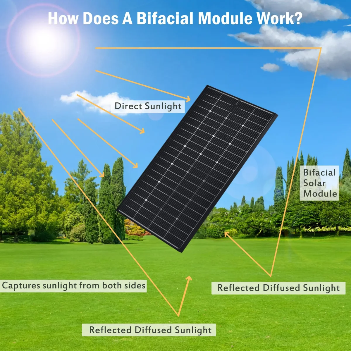 200 Watt 12V Bifacial Solar Panels - Image 4